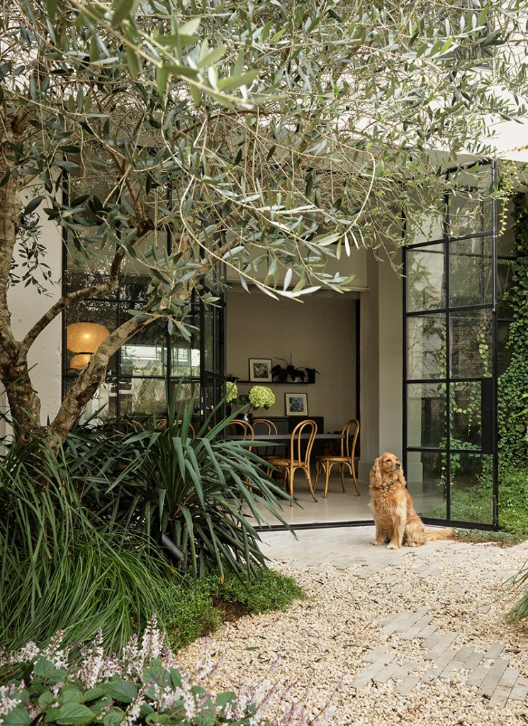Olive trees were planted in the outdoor area to create intimacy and scale against the walls. The Garden Social, a Landscape Architect, designed the space to be dreamy with a sense of precision, also Teddy the dog is on the photo.
